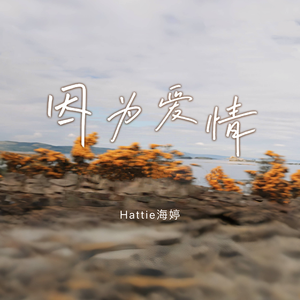 Chinese蹲坑嘘嘘voye
