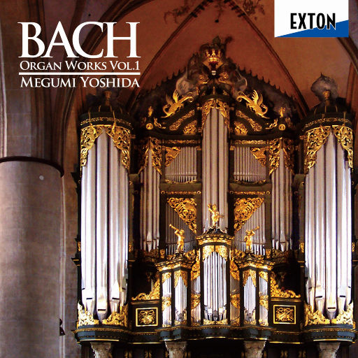 Chinese蹲坑嘘嘘voye
